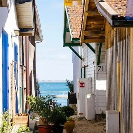 La Pointe Du Cap-ferret Ref 2123 Ferienhaus Lège-Cap-Ferret